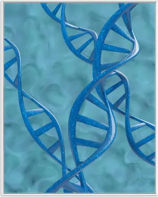 Produktbild von Wallario Wandbild DNA-Strang in blau auf türkisem Hintergrund, Größe: 40,30 x 50,30 cm, Poster mit weißem Aluminiumrahmen