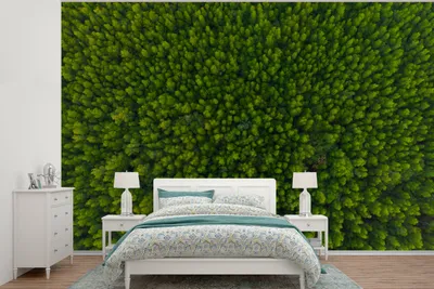 Produktbild von MuchoWow® Fototapete für Wohnzimmer oder Schlafzimmer Wandtapete Vinyl Motivtapete Wald - Baum - Grün - 330x220 cm - Fototapeten