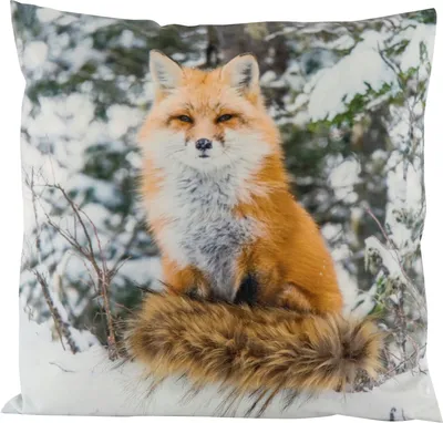 Produktbild von Hoff Interieur 9025 KISSENHÜLLE FUCHS 45X45 - ohne Füllung