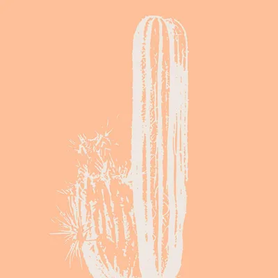 Image de Tableau sur verre cactus bohême 30x30 cm, Tableau mural moderne pour décoration intérieure