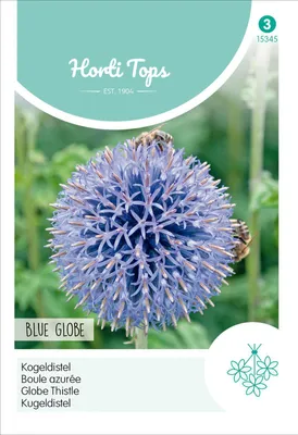 Produktbild von Kugeldistel Blue Globe | Blumensamen von Hortitops