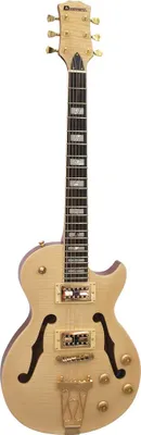 Immagine prodotto di Chitarra elettrica DIMAVERY LP-600, acero naturale