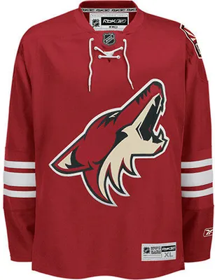 Produktbild von NHL Arizona Coyotes Eishockey Trikot Jersey rot blank Premier XXL