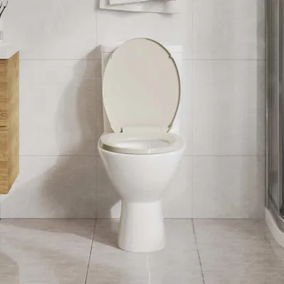 Obrázok produktu pre vidaXL Toaletné sedadlo s mäkkým zatváraním Apricot Oval