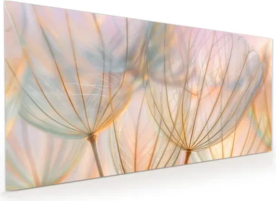 Produktbild von Küchenrückwand Spritzschutz Glas mit Motiv Pusteblumen Kunst 40 x 40 cm