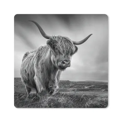 Produktbild von MuchoWow® Mauspad Mousepad Kühe - Schottische Hochlandkühe - Natur - Tiere - Schwarz und weiß 30x30 cm - Mousepads - Maus Mat - Pad - Mausunterlage - Gaming