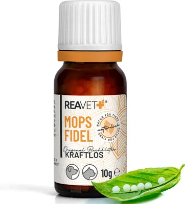 Produktbild von Bachblüten Globuli - Mopsfidel