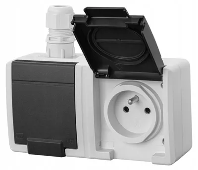 Image de AQUANT 2K prise murale double avec terre 2x2P+Z IP65 gris