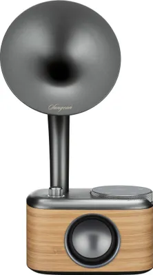Produktbild von Sangean CP-100D DAB+/FM/BT black/gold