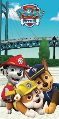 Produktbild von Handtuch Paw Patrol 060 70x140 cm