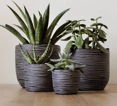 Produktbild von Capi 4-tlg. Blumentopf-Set Nature Rib Anthrazit