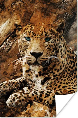 Produktbild von MuchoWow® Poster Leopard - Steine - Wand 60x90 cm - Wanddekoration