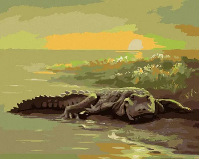 Produktbild von Zuty - Malen nach Zahlen - ALLIGATOR AM WASSER (D. RUSTY RUST), 40x50 cm, ohne Keilrahmen