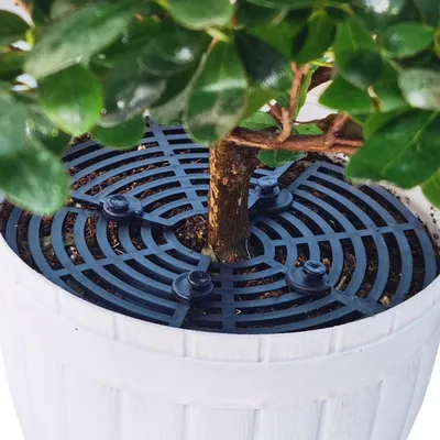 Immagine prodotto di Protezione per vasi di fiori, griglie per vasi di fiori, protezioni per fiori e piante, griglie di protezione per piante, protegge da animali e bambini