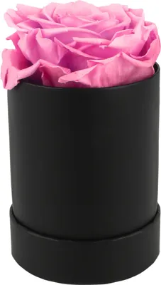 Imagen del producto de Rosas rojas preservadas, de color duradero, exquisitas, románticas y elegantes, ideales para celebraciones y aniversarios