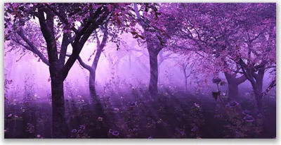 Produktbild von Acrylglasbilder 120x60 Wandbild Druck Bäume Natur