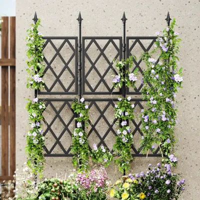 Image de Omgoods - Ensemble de treillis pour plantes grimpantes (50 pouces)