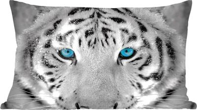 Produktbild von MuchoWow® Zierkissen Sofakissen Wohnzimmer Dekokissen 50x30 cm Tiger - Winter - Tiere - Wohnzimmerdekoration - Polster mit Photo