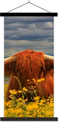 Produktbild von MuchoWow® Textilposter Schottisches Hochlandrind - Tiere - Blumen 60x120 cm mit schwarzem Rahmen - Magnete