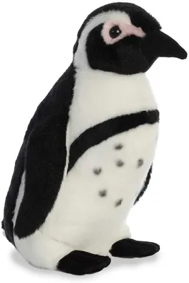 Produktbild von Aurora World DN Plüschtier Afrikanischer Pinguin 30 cm 80673