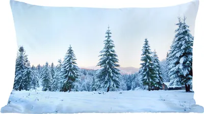 Produktbild von MuchoWow® Zierkissen Sofakissen Wohnzimmer Dekokissen 60x40 cm Winter - Schnee - Bäume - Kopfkissen - Polster mit Foto