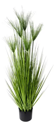 Kunstpflanze Zyperngras im Topf, grün, 130 cm