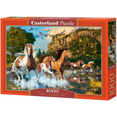 Produktbild von CASTORLAND Puzzle Pferdewunderland 1000 Teile