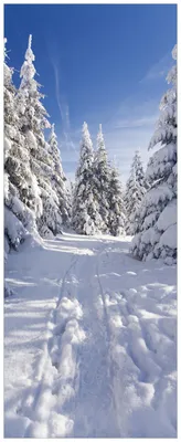 Produktbild von Wallario Premium Glasbild, freischwebende Optik, kräftige Farben, Größe 80 x 32 cm Motiv Wanderweg im Schnee