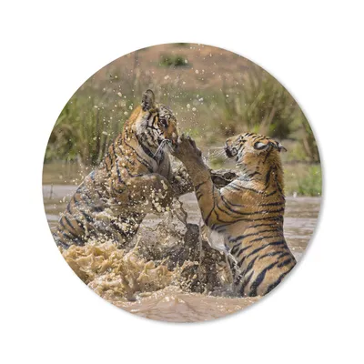 Produktbild von MuchoWow® Mauspad Mousepad Junge Tiger spielen im Wasser 40x40 cm - Mousepads - Maus Mat - Pad - Mausunterlage - Schreibtisch Accessoires