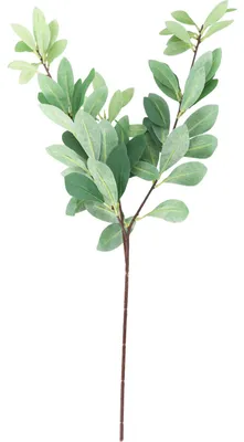 Immagine prodotto di Pianta artificiale con ramo decorativo, 90 cm