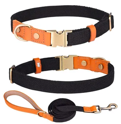 Nylon-Halsband mit Leine, verstellbar, L, Schwarz
