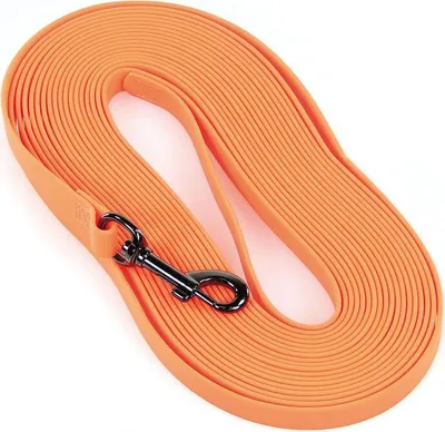 Produktbild von SwissPet Schleppleine NEON 6m/10m mit stabilem Karabiner für Hundeerziehung & kontrollierten Freilauf