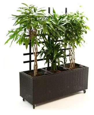 Produktbild von Elegant Einrichten | Pflanzkübel | Polyrattan | mit Rankgitter | rechteckig | 106x38x130cm | schwarz.