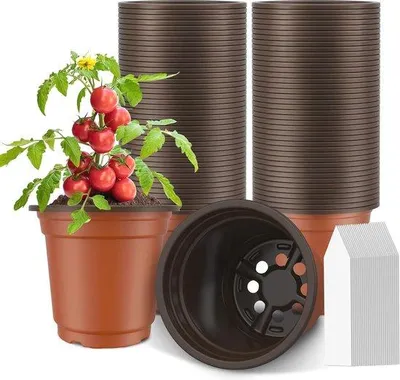Zdjęcie produktu dla Żaroodporne foremki do zapiekanek – przezroczyste szkło, 10 cm (zestaw 2 sztuk)