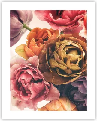 Produktbild von Poster - Poster ohne Rahmen - Blumenstrauß Blumen Braut - 40x50 cm - Wand Bild - Wanddeko - Wandbilder - Kunstposter - Wandposter - Bilder - Kunstdruck - Wanddekoration - Wandbild - P2XPA40x50-5025