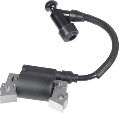 Obrázek produktu pro Modul zapalování motoru Cedrus Y170V 484116