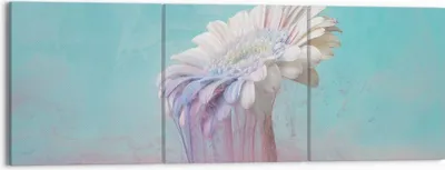 Produktbild von Bild auf Leinwand - Leinwandbild - 3 Teile - Modern Grafik Blume - 150x50cm - Wand Bild - Wanddeko - Wandbilder - Leinwanddruck - Bilder - Wanddekoration - Leinwand bilder - Wandbild - CA150x50-4534