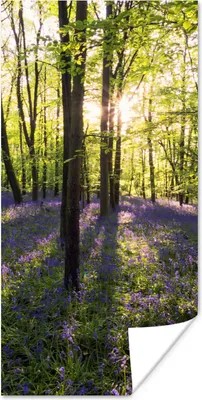 Produktbild von MuchoWow® Poster Wald - Blumen - Lavendel 60x120 cm - Wandschmuck