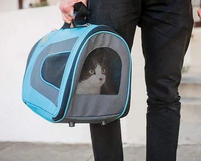 Produktbild von Famanu Tragetasche für Katzen und Hunde - 46x29x25,5 cm - Hellblau