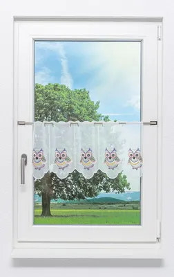 Produktbild von Scheibengardine Plauener Spitze - Kauz  (Bx H) 129,6cm * 30cm mehrfarbig/Orange