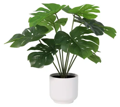 Obrázek produktu pro Umělá monstera Deliciosa 50 cm v bílém květináči – realistická umělá rostlina s rozeklanými listy