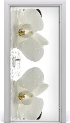 Produktbild von Tulup Türaufkleber 95x205 cm Dekorative Aufkleber Selbstklebend Wasserdichte Tapete Abnehmbar Schlafzimmer Wohnzimmer Wohnkultur - Orchidee und Steine