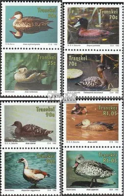 Produktbild von Briefmarken Südafrika - Transkei 1992 Mi 287-294 Paare (kompl.Ausg.) FDC Gänsevögel