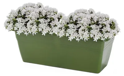 Produktbild von Pflanzgefas - grun - rechteckig - 40 x 18 x 15 cm