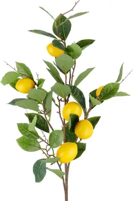 Produktbild von GASPER Zitronenzweig Gelb mit 6 Zitronen 94 cm - Kunstpflanzen