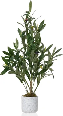 Image de Arbre d'olivier artificiel - Plante en pot de 60 cm - Branches et fruits très réalistes - Décoration pour la maison et le bureau - Usage intérieur - Vert