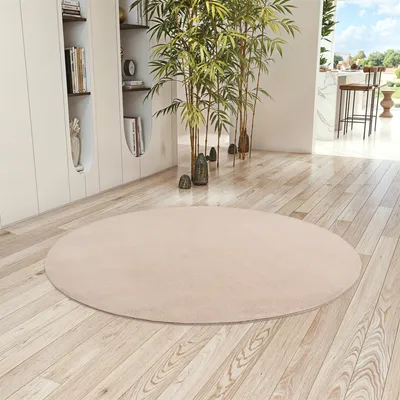 A round, beige rug is placed on a light wooden floor in a modern room with bookshelves and plants.