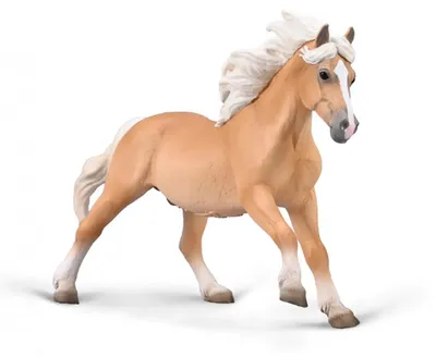 Immagine prodotto di Collecta 80038 Stallone Haflinger 16 cm Pferdewelt