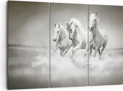 Produktbild von Bild auf Leinwand - Leinwandbild - Bauernhof pferde galopp freiheit - 105x70cm - Wand Bild - Wanddeko - Leinwanddruck - Bilder - Kunstdruck - Leinwand bilder - Wandkunst - CE105x70-2389