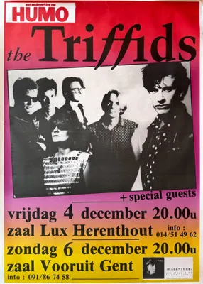 Zdjęcie produktu dla The Triffids - Koncert w Belgii, 1987 - Plakat - 61x86 cm